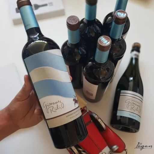 Caja bodega gomenez riili x2